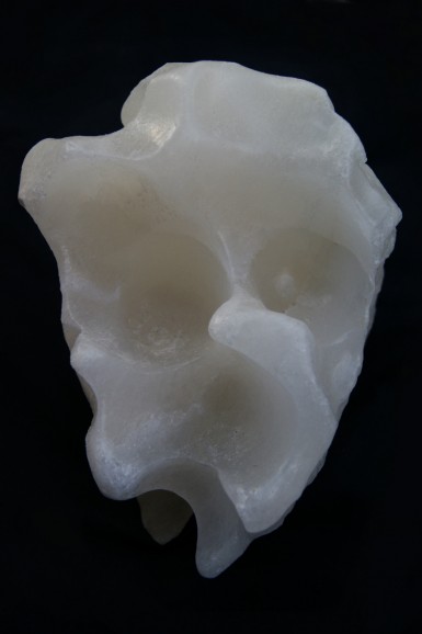 크기변환_사본 -01b_Salt Sculptures_Ahmad Nadalian_2010.jpg