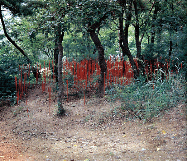 6.gif