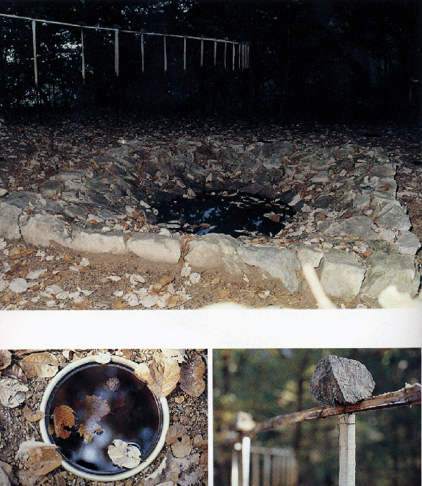7.gif