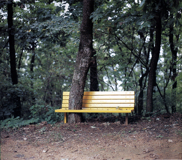 9.gif