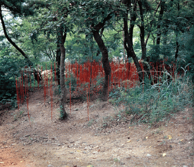 6.gif