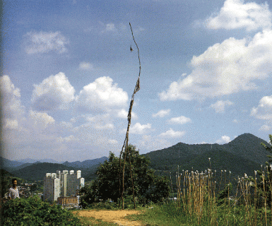 10.gif