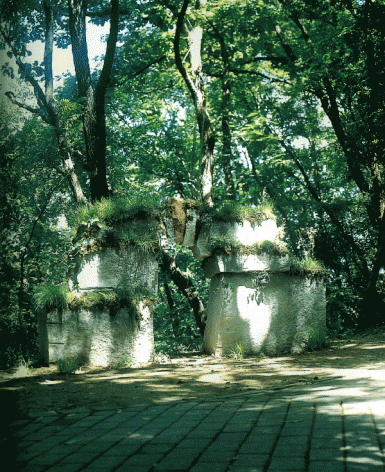 11.gif
