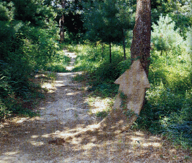 14.gif