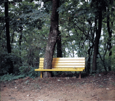 9.gif