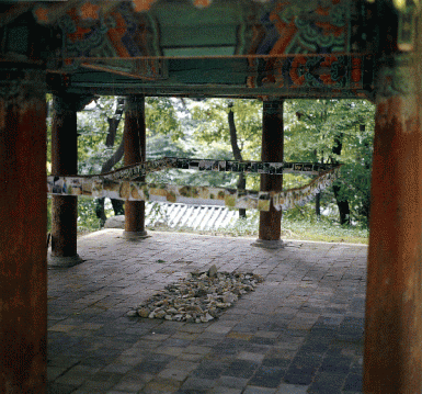 11.gif
