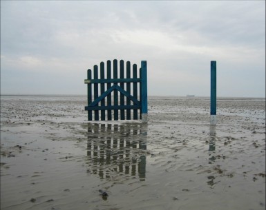 106.jpg