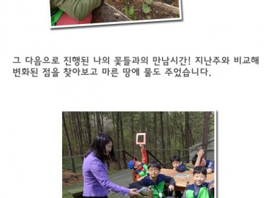 20150418 빛상자 카메라로 자연담기2.jpg