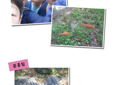 20150418 빛상자 카메라로 자연담기2.jpg