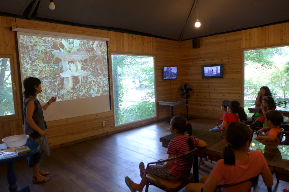 P1270400.JPG