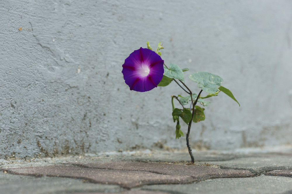 크기변환_Nevertheless-1410-76.2x114.3cm-Digital c-print, 2014.jpg