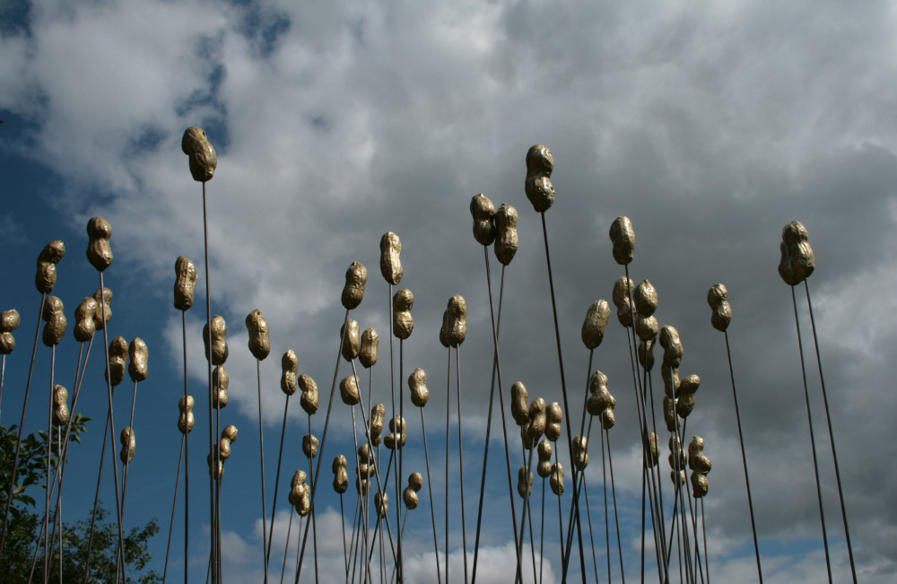 Schuermeyer_Renate_golden peanuts.JPG