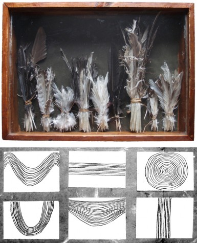 크기변환_animalistic - 1 hour of feathers, birdsong _ p ward 2011-15.jpg