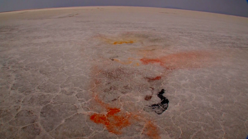 2014-Nooshin Naficy-the remaining scents -snapshot of video (1).jpg