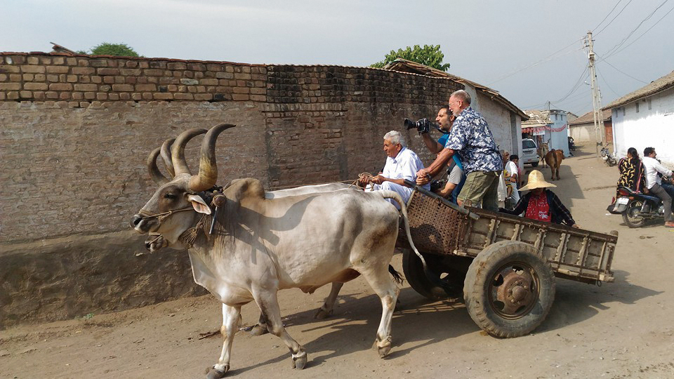 India.jpg