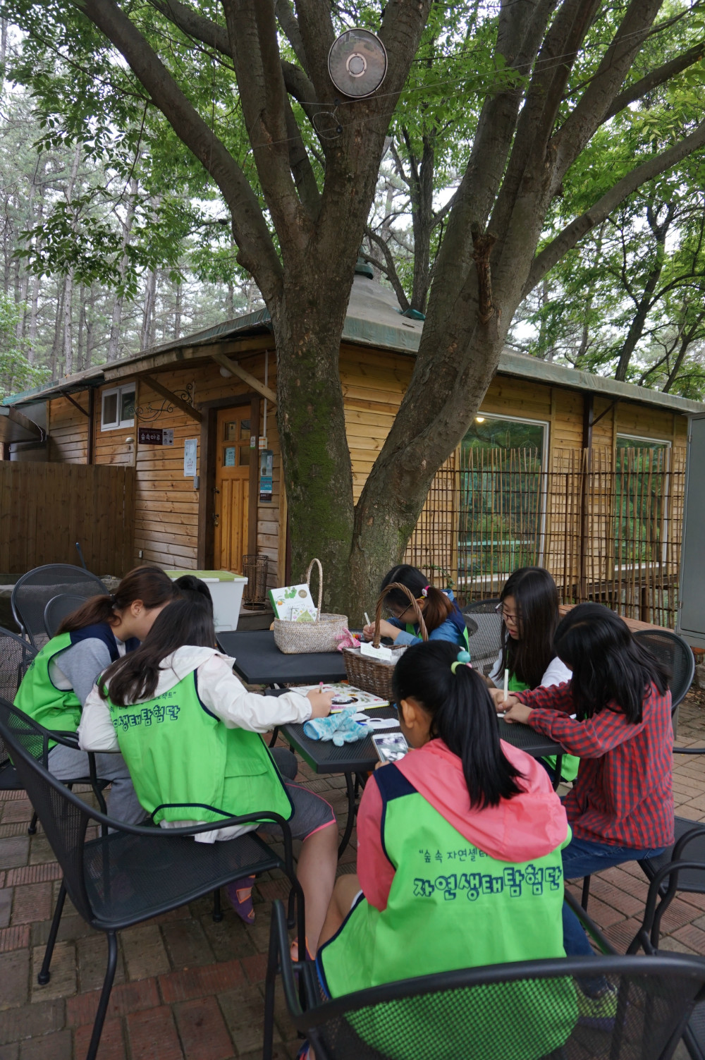 DSC02972.JPG