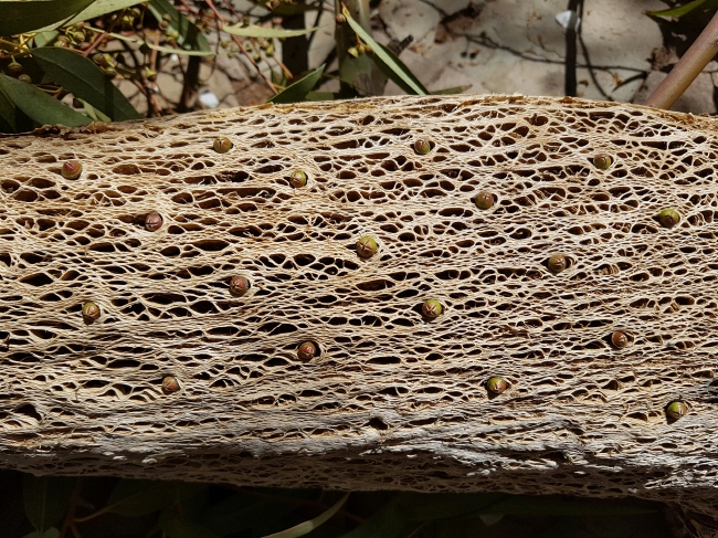 20160917_124612.jpg