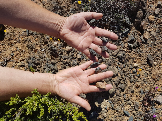 20160920_101112.jpg