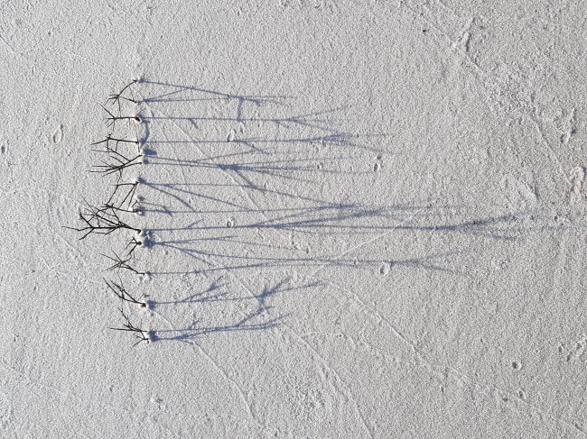 20160923_174202.jpg