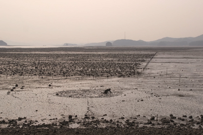 Sampson Mudflats Videostill 1.jpg